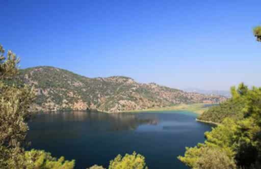 Dalaman Havalimanı Araç Kiralama